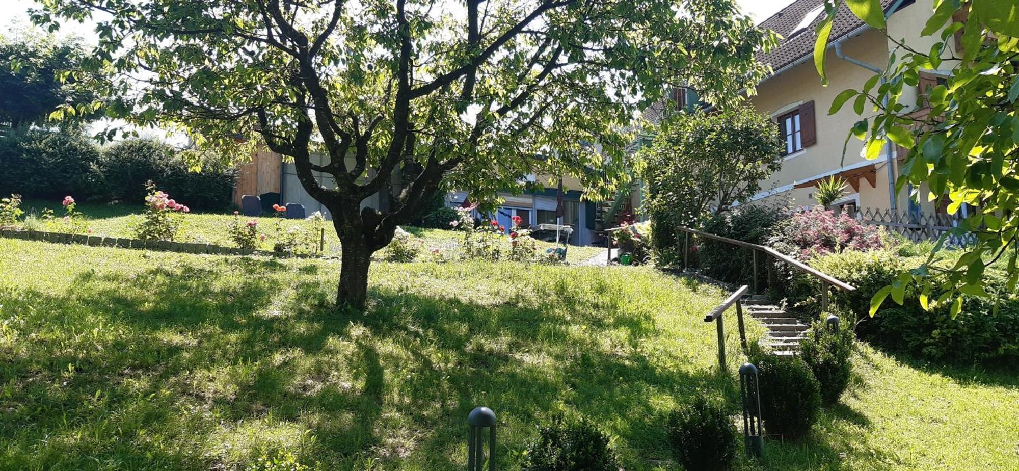 Ferienwohnungen Soravia Gamlitz Luaran gambar